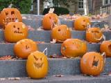 pumpkin steps 2